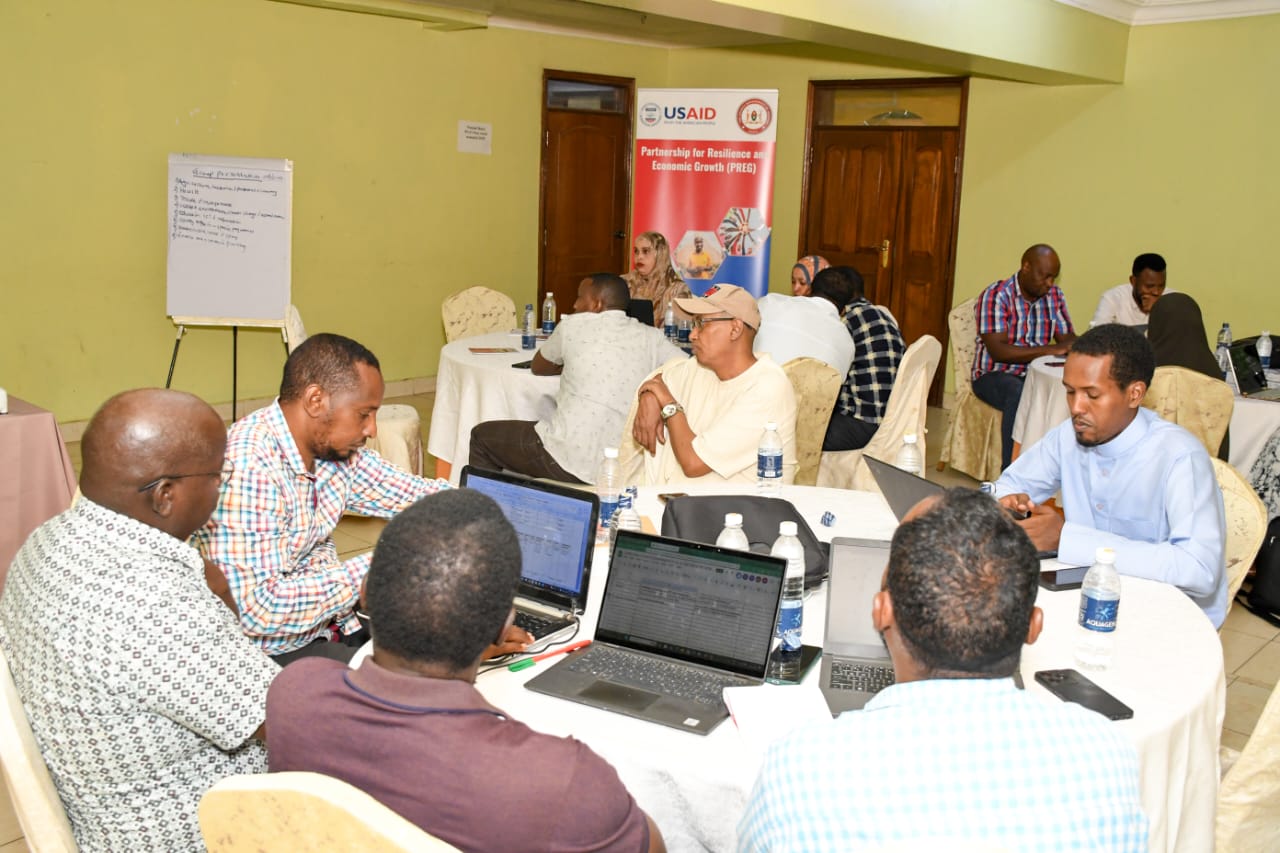 WhatsApp Image 2025-01-06 at 11.31.24